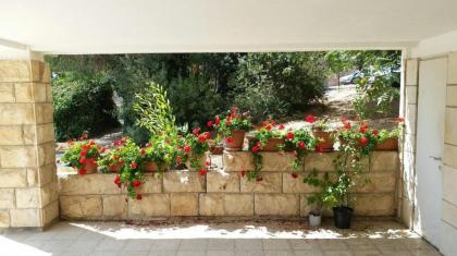 Kosher Furnished 3 bedroom apartment in Katamon - image 11